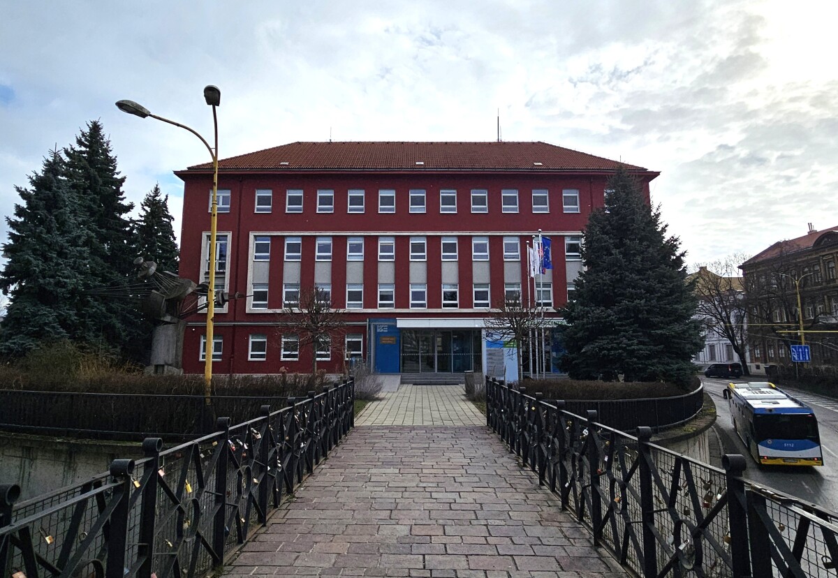 Matylda Palfyova  6 