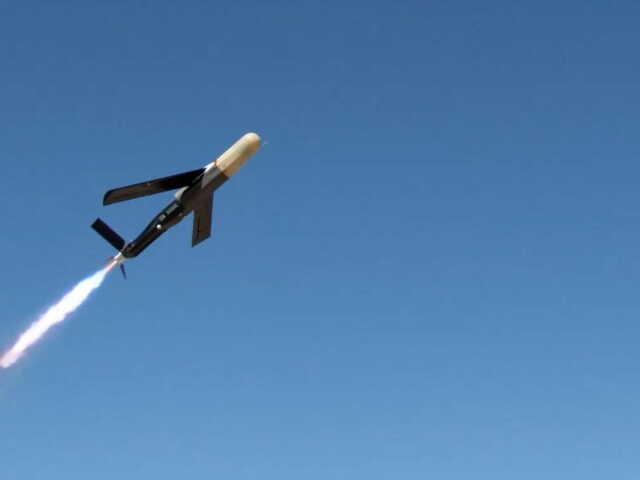 Coyote B3NK Still 1