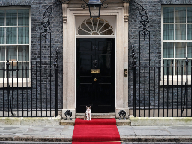 Larry, kocúr, Downing Street 10,