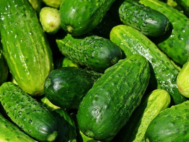 Cucumbers / Uhorky /