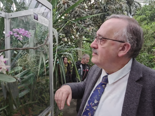 výstava orchideí, Košice, riaditeľ, Pavol Mártonfi, Botanická záhrada Košice,