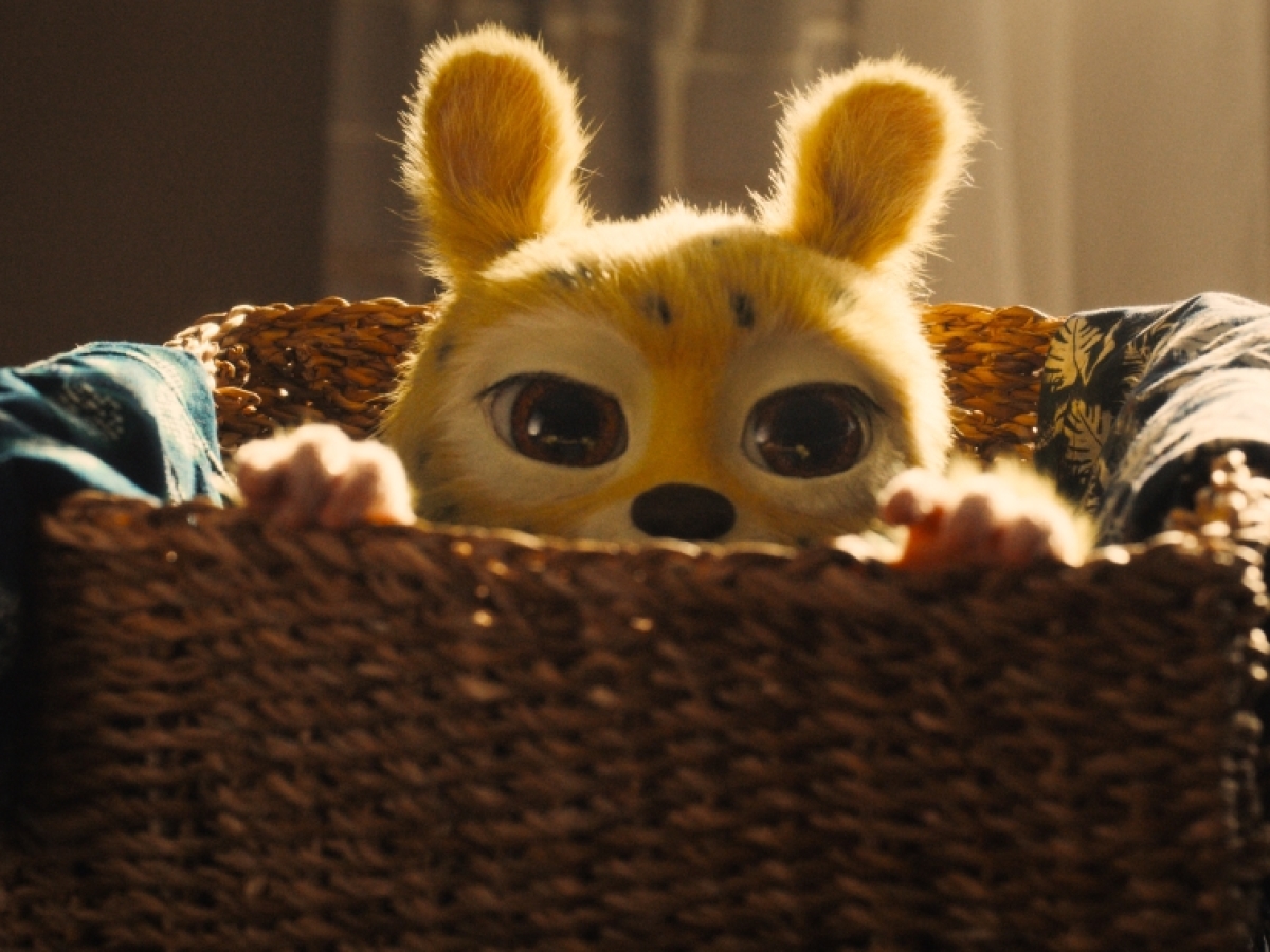 Bláznivý Marsupilami