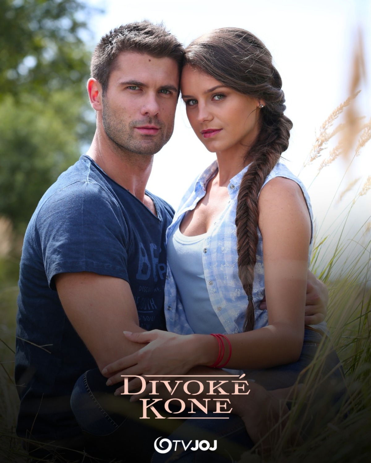 divoke kone