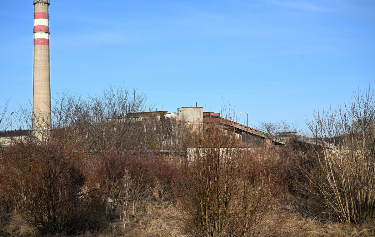 Bukóza