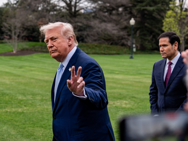 Trump rubio