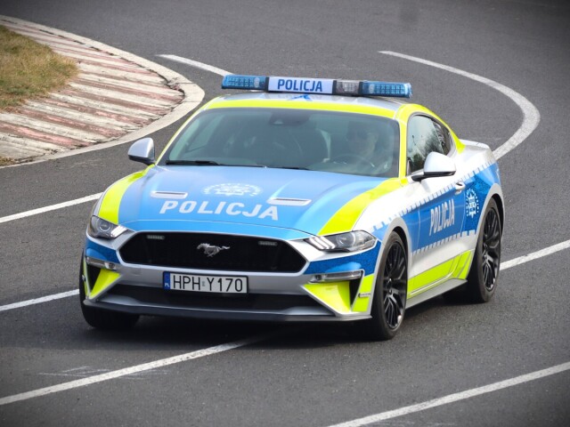 policia mustang