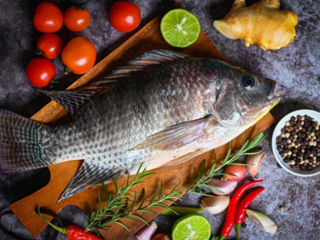 Ryba na tanieri: Tilapia pod lupou. Zakladá sa jej zlá povesť skôr na mýtoch než faktoch? 