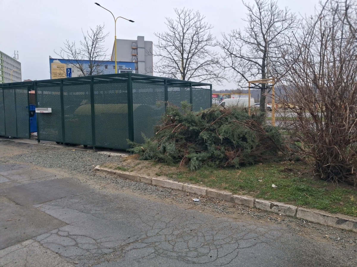 Zelen Sprava mestskej zelene  6 