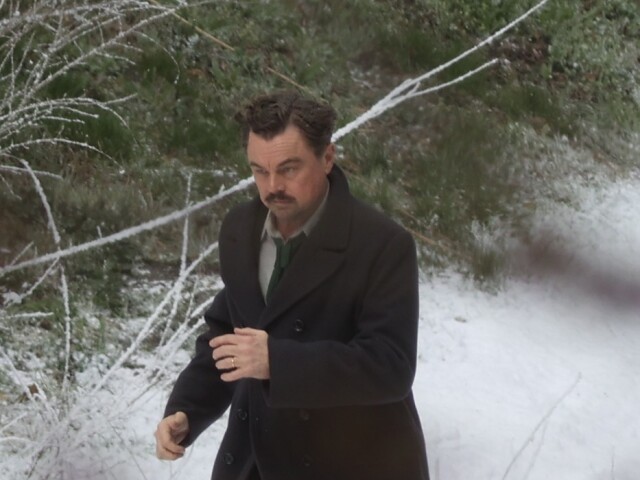 Leonardo DiCaprio 