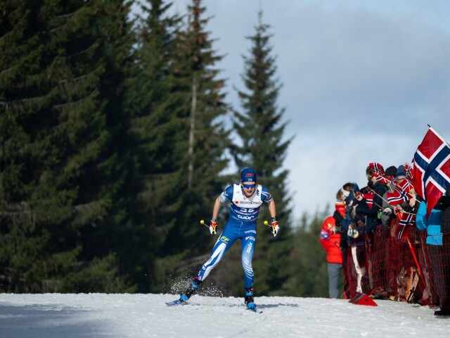 Remi Lindholm