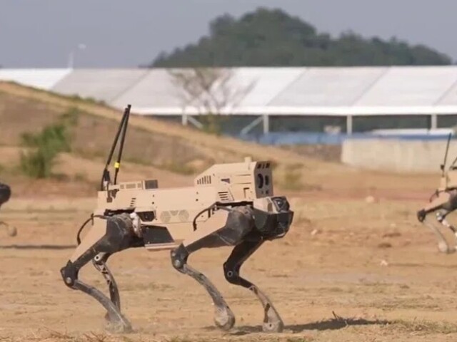Čínska robotická svorka vlkov