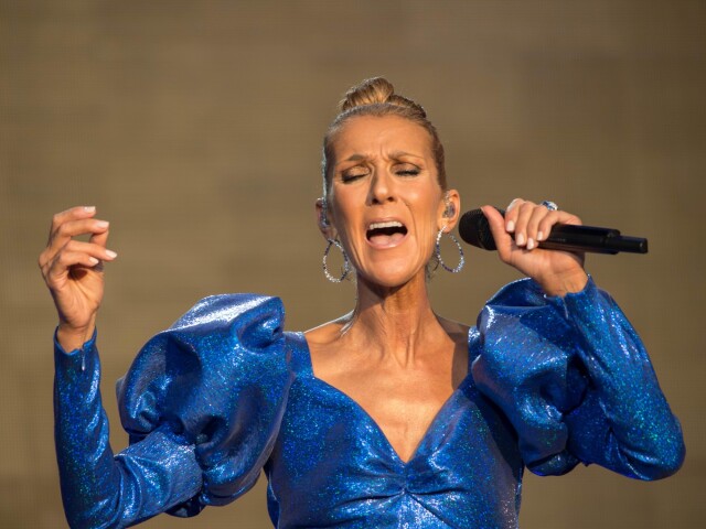 Speváčka Celine Dion na archívnom zábere. 
