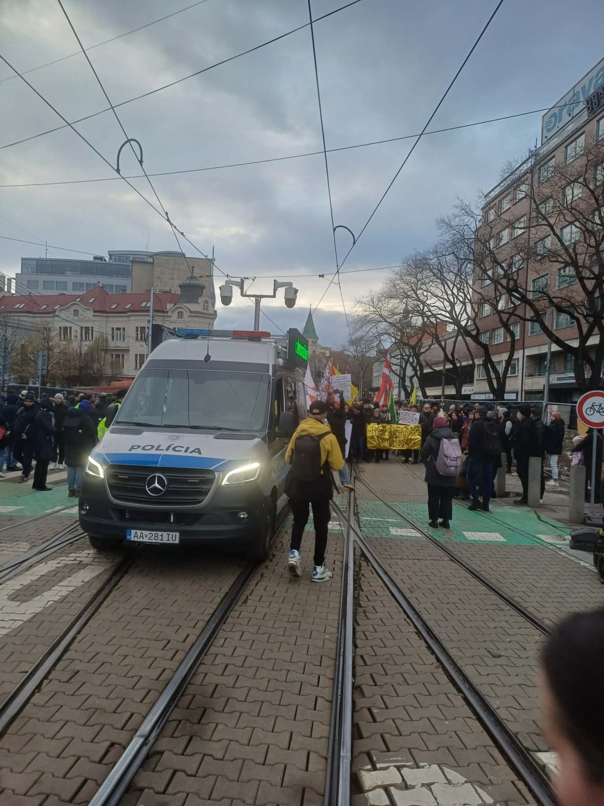 Veľká kultúrna mobilizácia, protest, pochod