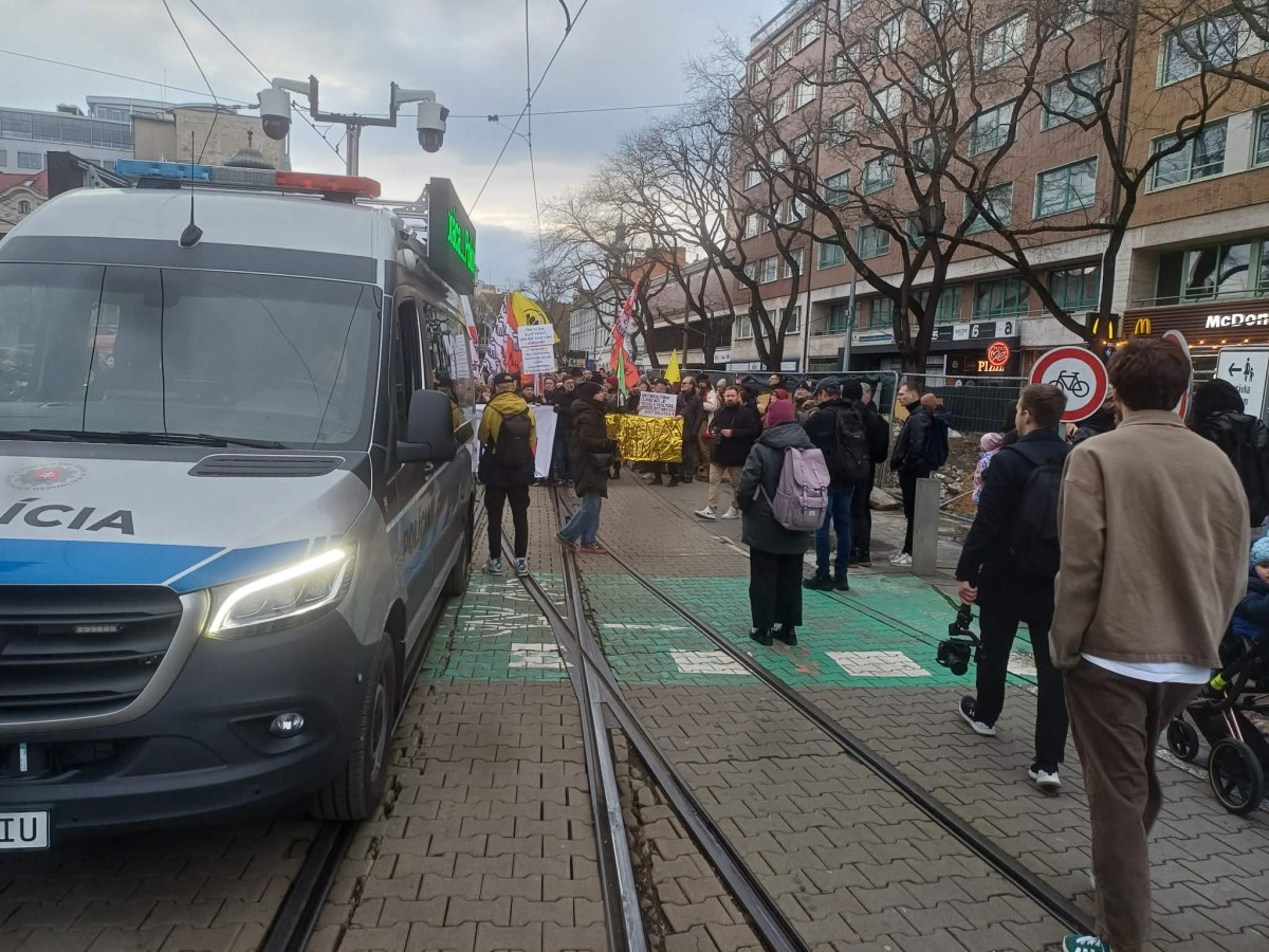 Veľká kultúrna mobilizácia, protest, pochod