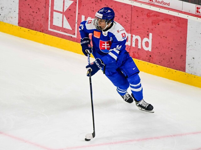 Matej Stankoven