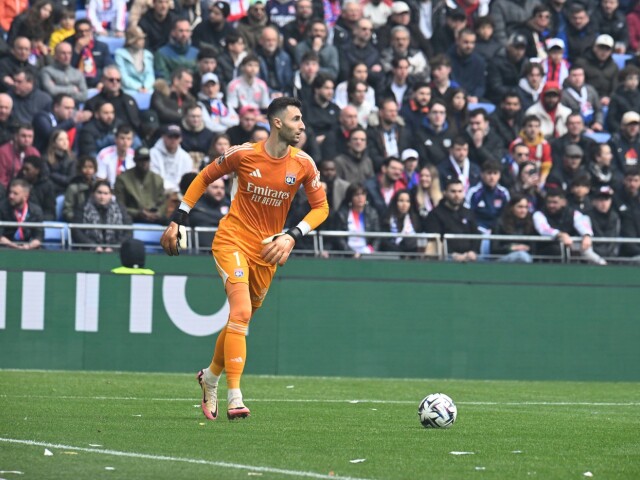 Dominik Greif