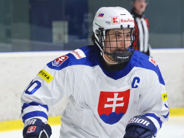 Janka Hlinková, Slovensko, hokej, ženy