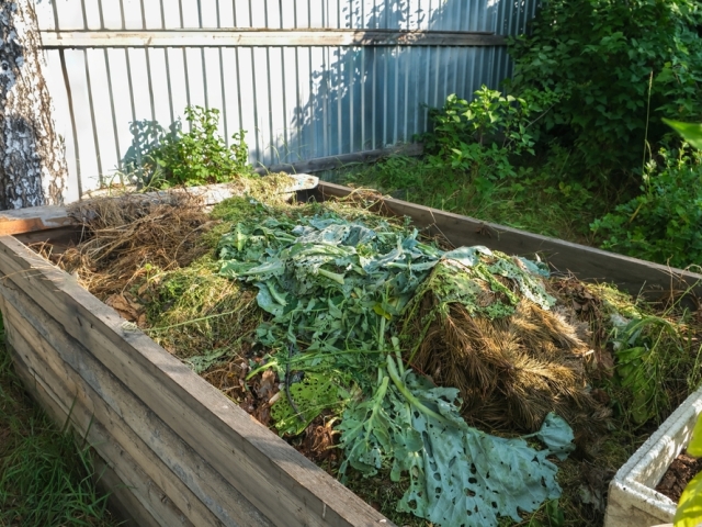 Veľké kusy organického materiálu hodené na kompost nie sú správnym postupom. Takto nikdy nedosiahnete správny proces rozkladu.