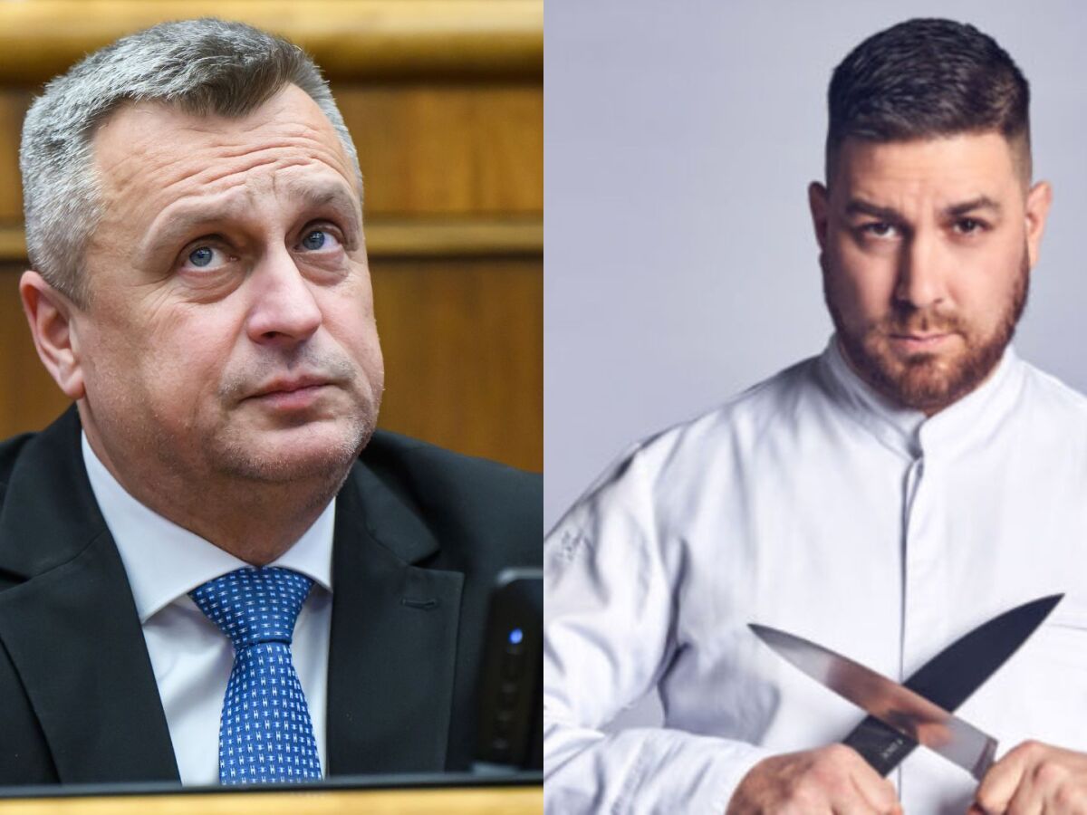 danko-novak