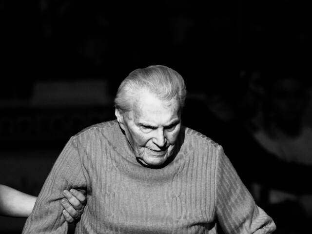 vladimir kopecky