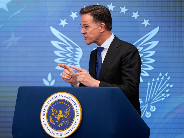 rutte nato