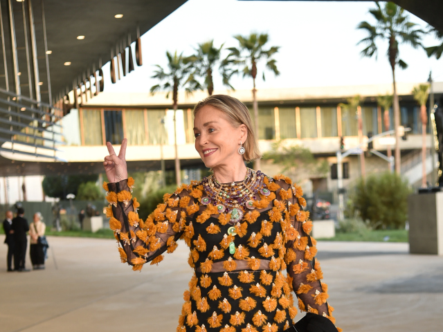 LACMA's Opening Gala for the David Geffen Galleries