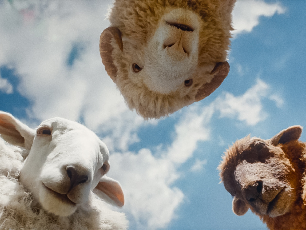 (L to R) Regina Hall as the voice of Cloud, Chris O'Dowd as the voice of Mopple and Julia-Louis Dreyfus as the voice of Lily in THE SHEEP DETECTIVES, from Amazon MGM Studios.
Photo credit: Courtesy of