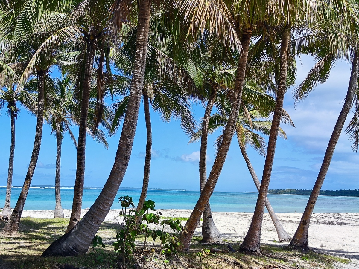 Tonga