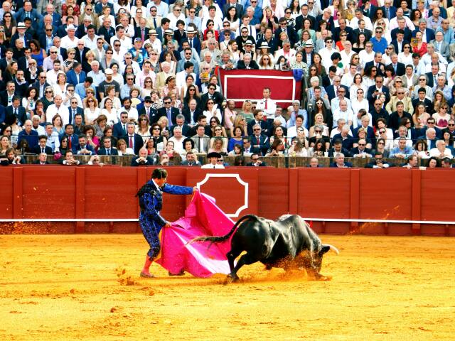 matador býk, aréna, toreador, corrida
