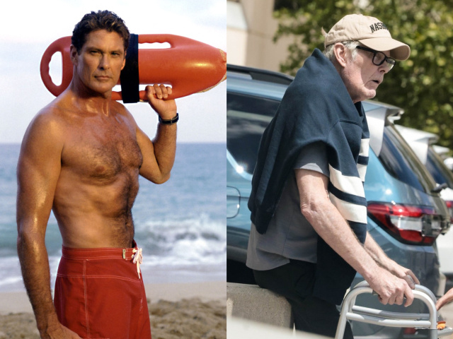 David Hasselhoff