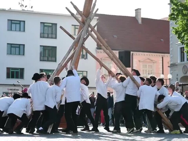stavanie mája, Trnava