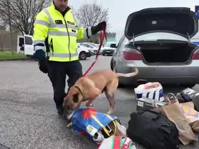 kontrolná akcia, Policie ČR