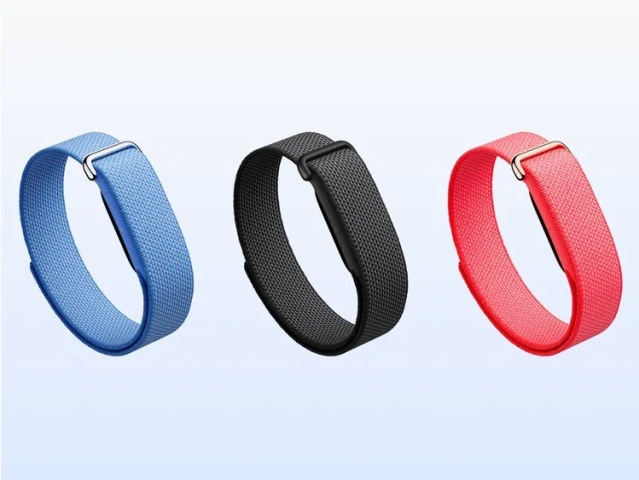 Fitbit Air, Google