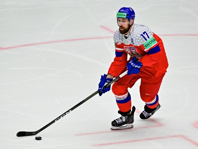 Filip Hronek