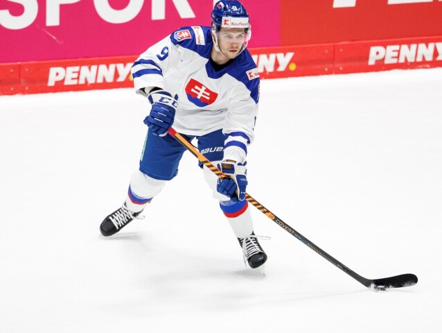 Rayen Petrovický