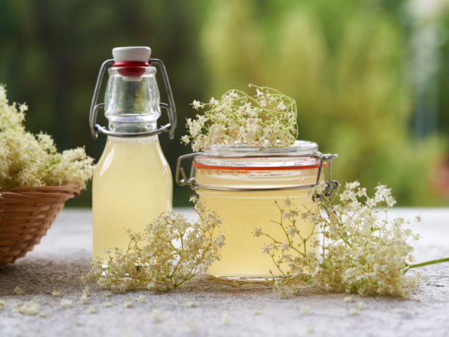 Mdlý, bez chuti aj vône? Tieto chyby dokážu pokaziť aj ten najlepší recept na bazový sirup