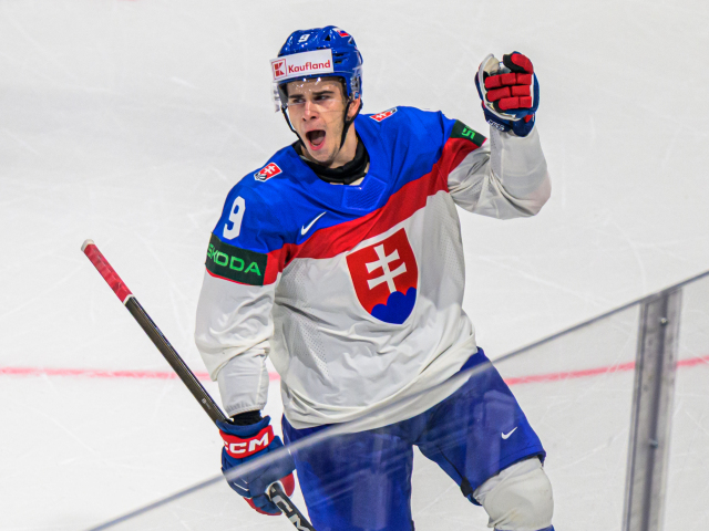 Švajčiarsko MSH26 Hokej B skupina mešár