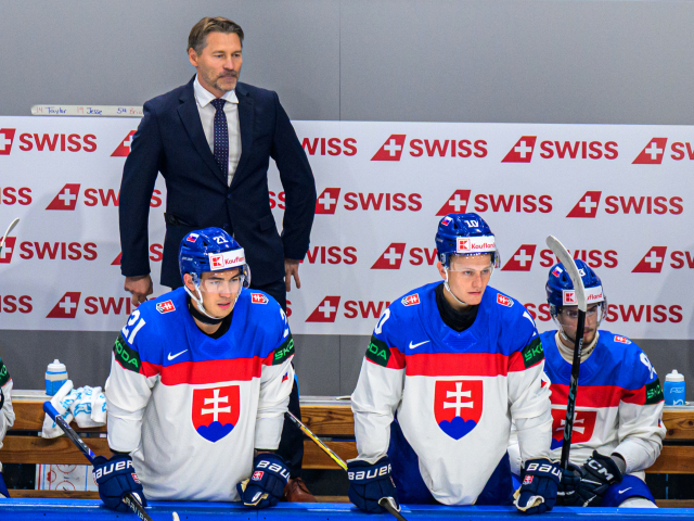 Švajčiarsko MSH26 SR Hokej B ČR