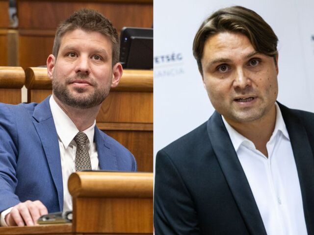 gubik simecka