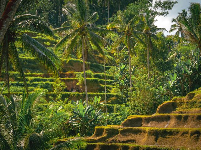 Bali, Indonézia, Ubud