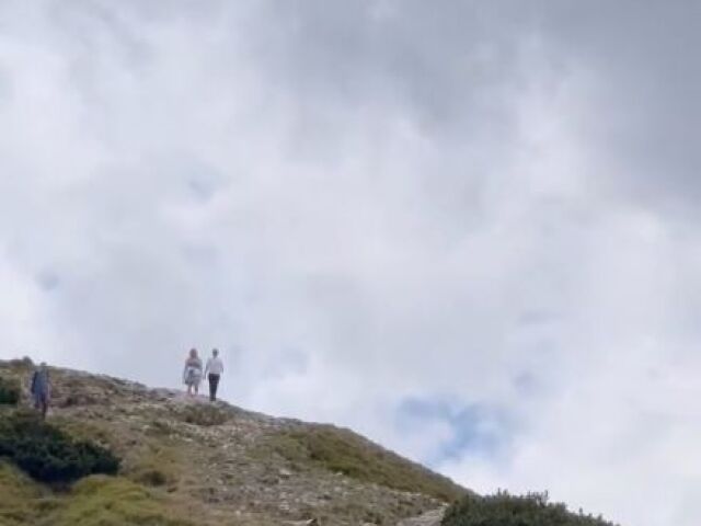 Tatry, medveď
