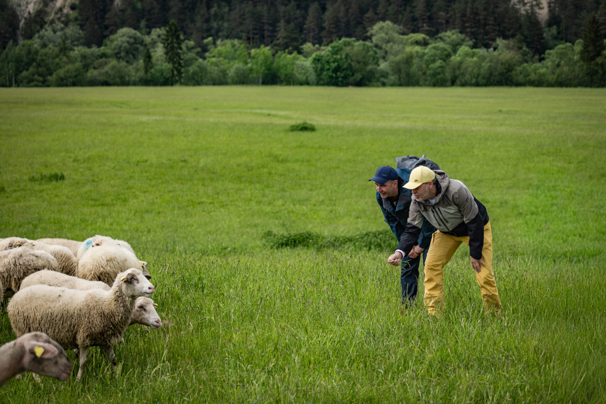Tatry na Tanieri - Pieniny - 2026.05.30