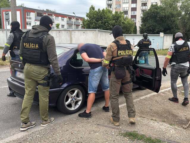 polícia, protidrogová razia, policajti, komando, zatknutie
