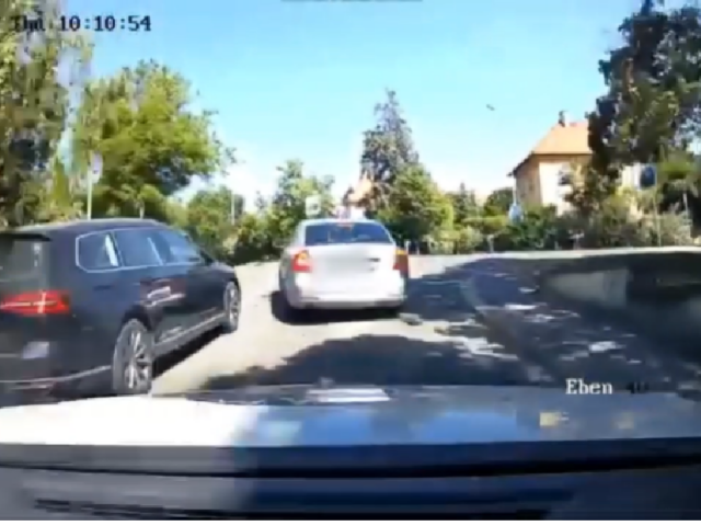 taxikár, únik pred políciou, Policie ČR