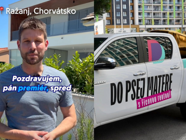 šimečka, ps, dmeorkati