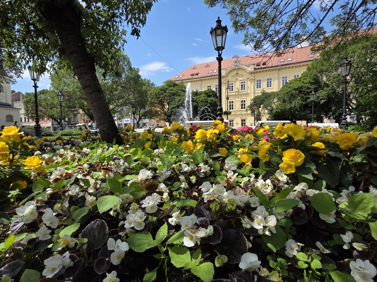 Kosice kvety  2 