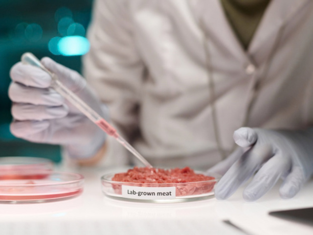 Čo budeme jesť o 25 rokov? Mäso z laboratória, farmy v mrakodrapoch a jedálny lístok podľa DNA. Takto vyzerá budúcnosť na tanieri