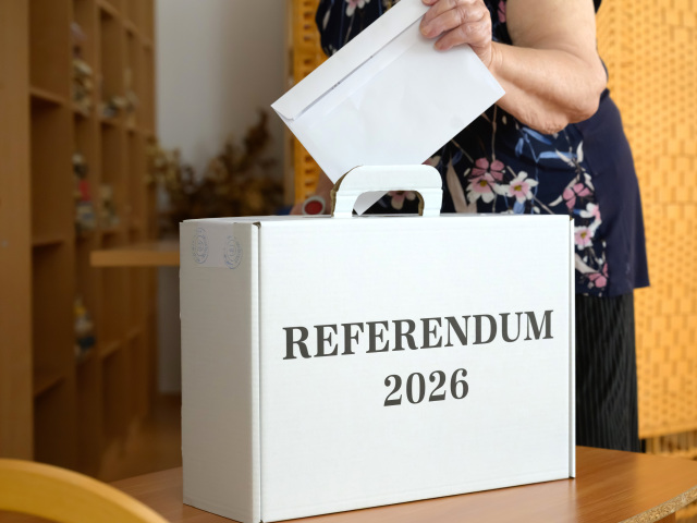Dvanásť miliónov eur a takmer prázdne urny. Referendum Demokratov skončilo jedným z najtvrdších neúspechov
