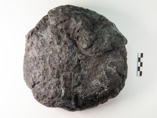 MMB vystavuje archeologický unikát. Chlieb starý 1 500 rokov nájdete na nádvorí Starej radnice