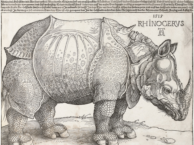 Albrecht Dürer: Nosorožec, 1515
